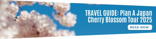 Travel Guide: Plan A Japan Sakura (Cherry Blossom) Tour 2025