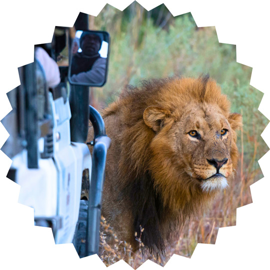 Kruger National Park