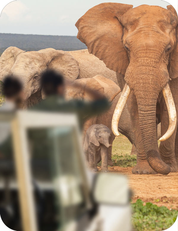 Maasai Mara National Reserve