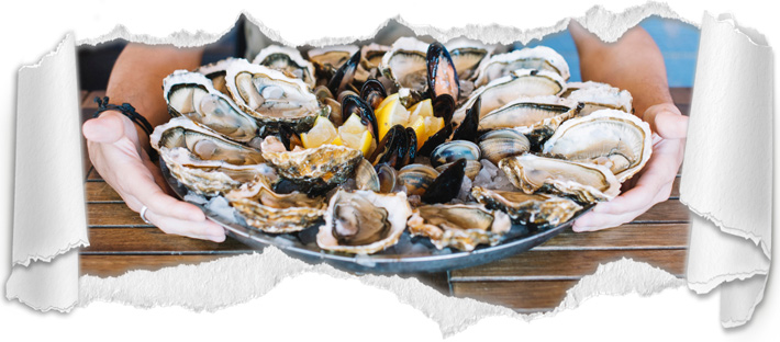 Bruny Island Oyster Tasting