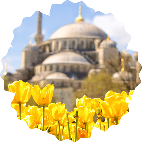 Safari in South Africa