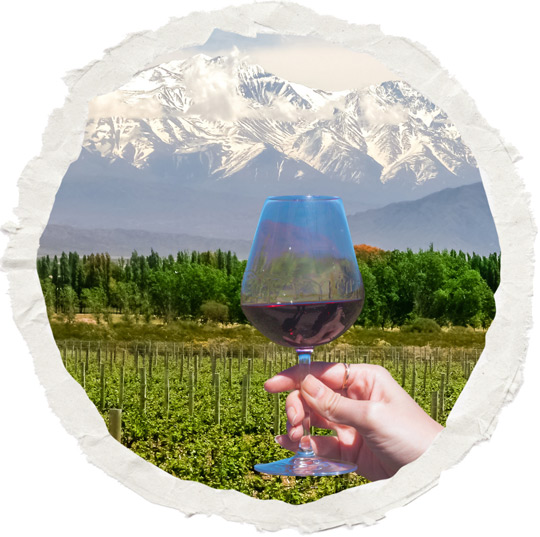 Mendoza Wineries Tour