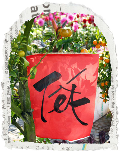 A Decoration for Vietnamese New Year