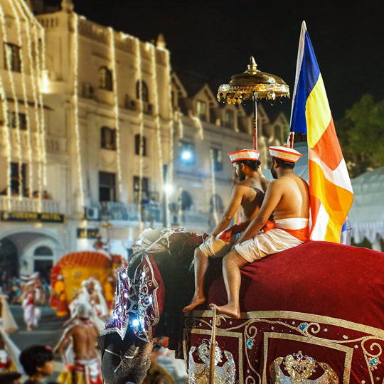 Sri Lanka: Kandy Tooth Festival (Kandy Esala Perahera)