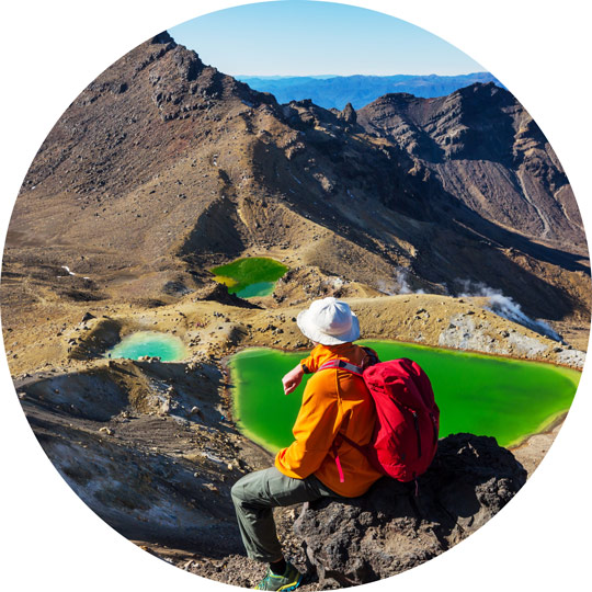 new zealand nature beauty