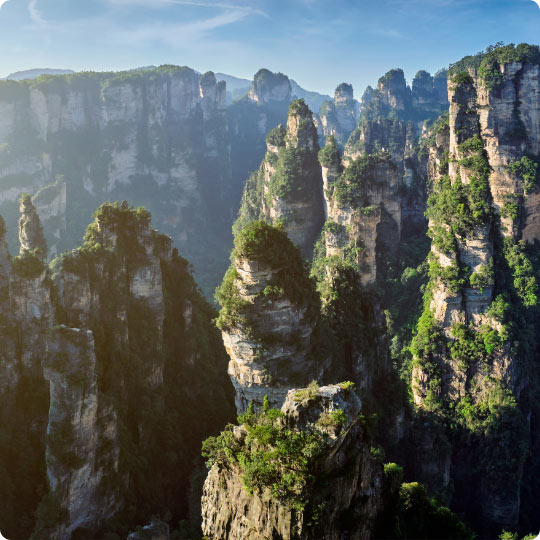 Avatar filming location