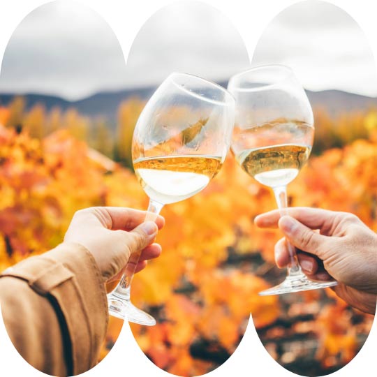 Douro Valley Wine-Tasting Tour