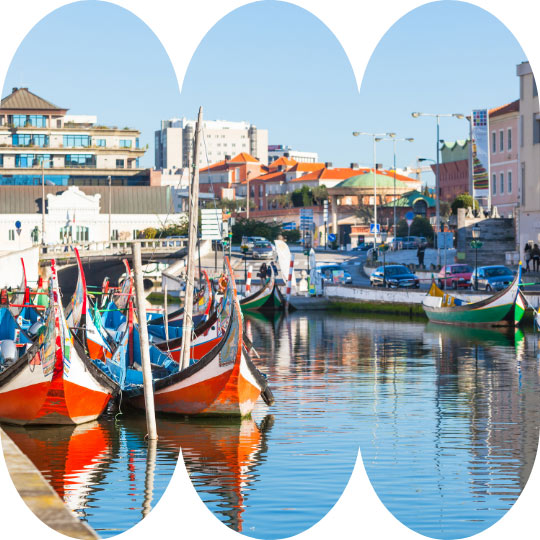 Aveiro Moliceiro Boat Ride
