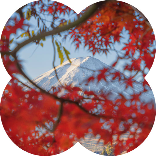 Mount Fuji and Red Leaves