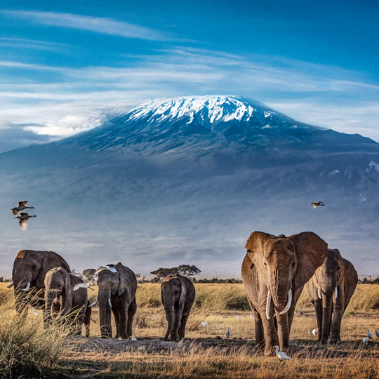 Amboseli National Park