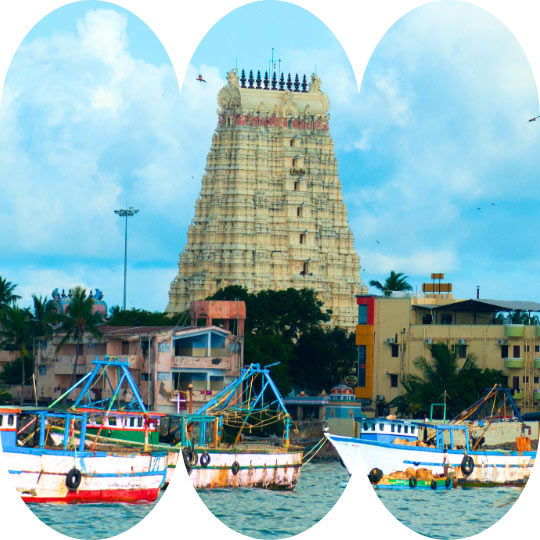 The Dead Sea's Salt Crystals