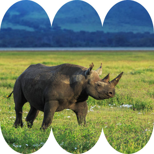 Chitwan National Park