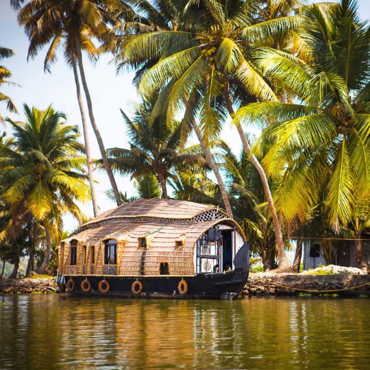Kerala Backwaters Houseboat Cruise