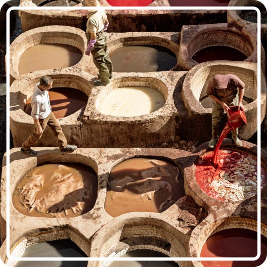 Traditional tanneries in Fez