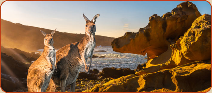 Kangaroo Island