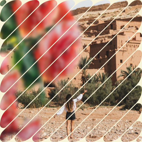 Morocco Rose Festival