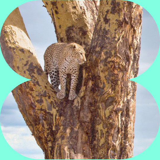 Serengeti National Park