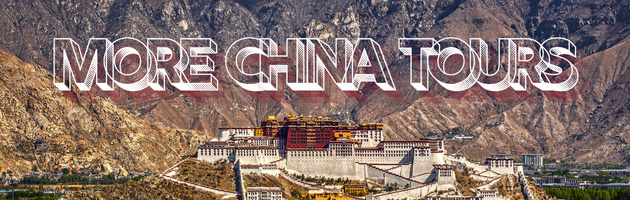 ALL SOUTH ASIA TOURS