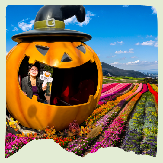 Flower Fields of Furano