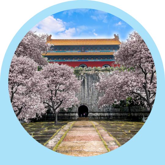 Cherry Blossom Season at Ming Xiaoling Mausoleum