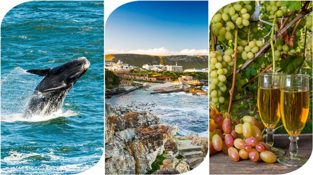 HERMANUS, SOUTH AFRICA