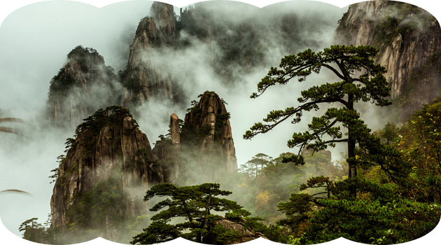 Strange pines and rocks at Huangshan