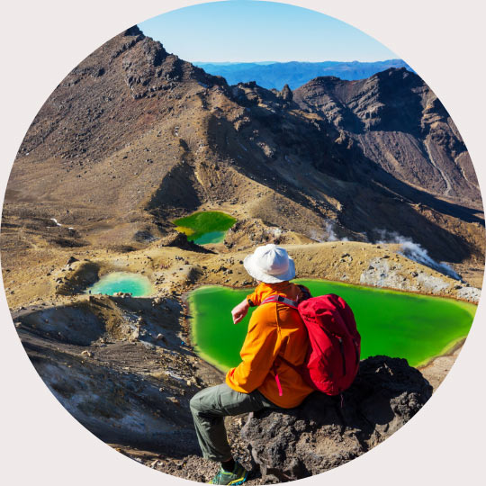 new zealand nature beauty