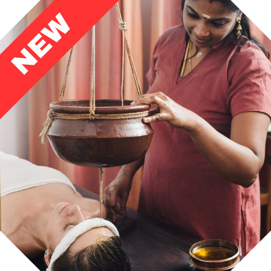 India Wellness Tour