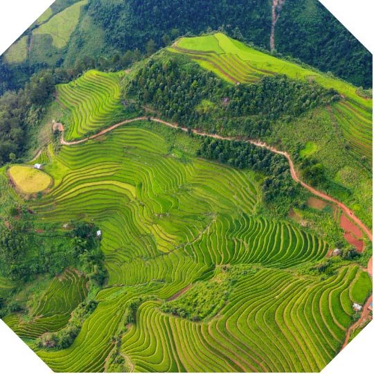 Ha Giang