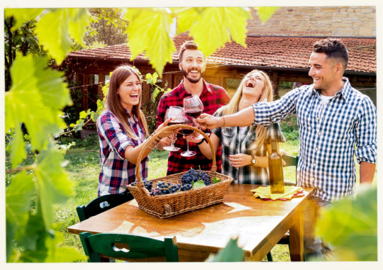 Wine Tour in Douro Valley
