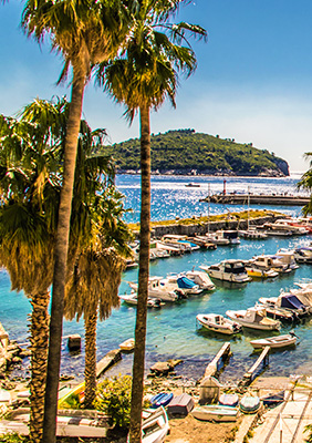 Subscribe Newsletter