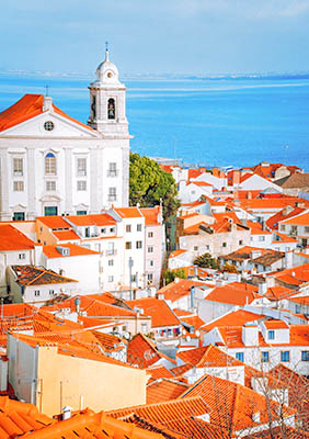 Subscribe Newsletter