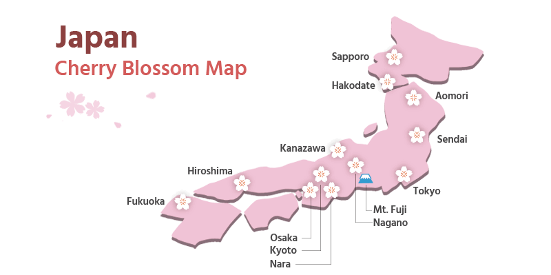 Japan Cherry Blossom Map