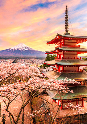 Subscribe Newsletter