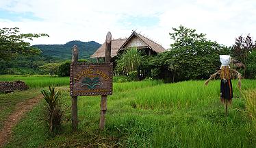 The Living Rice Farm in Luang Prabang, Laos