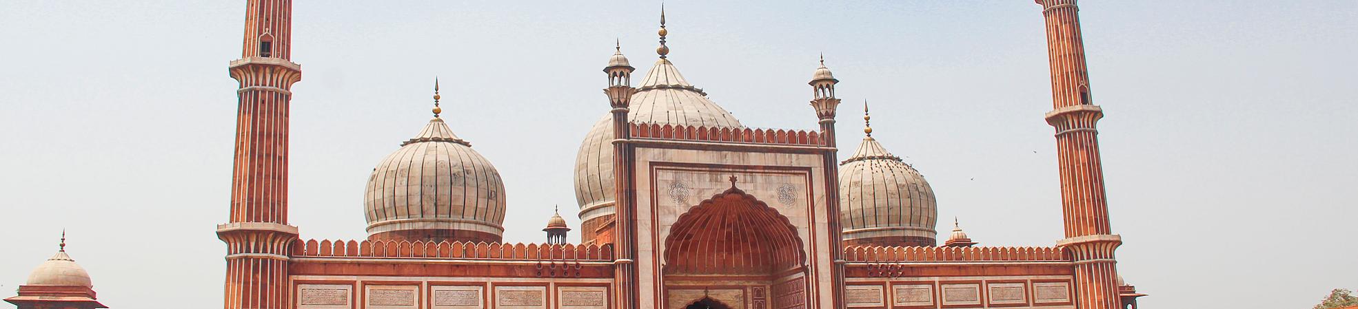 What to Expect in Old Delhi