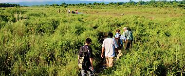 Chitwan National Park