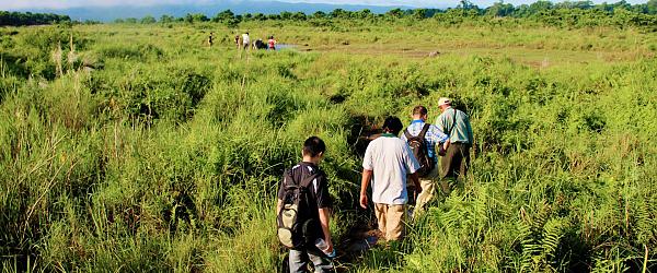 A Guide to Visiting the Chitwan National Park in Nepal