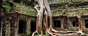 Ta Prohm