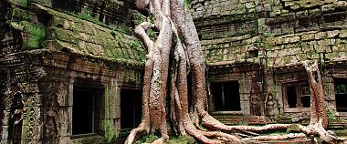 Ta Prohm