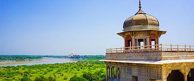 Can I Travel with My Pet in India?