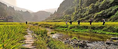 Guizhou Local Lifestyle