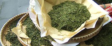 Guizhou Local Tea Types 