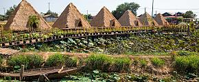 5 Days in Cambodia, Unforgettable