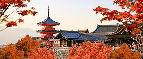 Japan in Fall