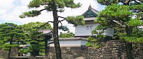 Tokyo Travel Guide