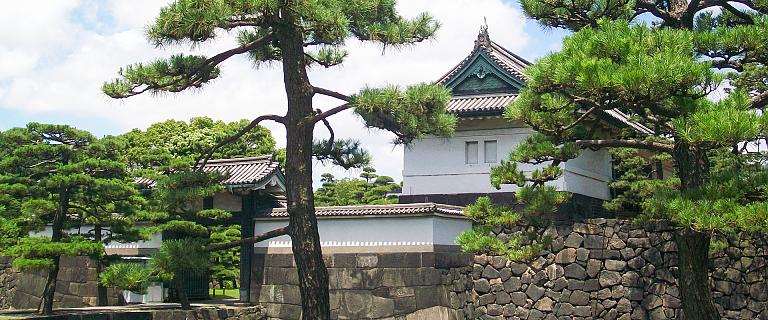 Tokyo Travel Guide