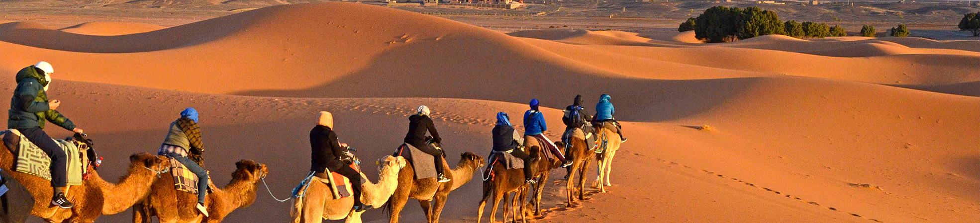 Where to Visit in Morocco by Month?