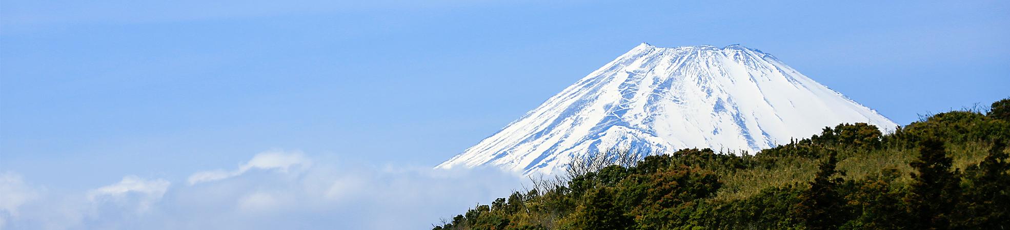 Mount Fuji Travel Guide