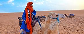 Where to Visit in Morocco by Month?